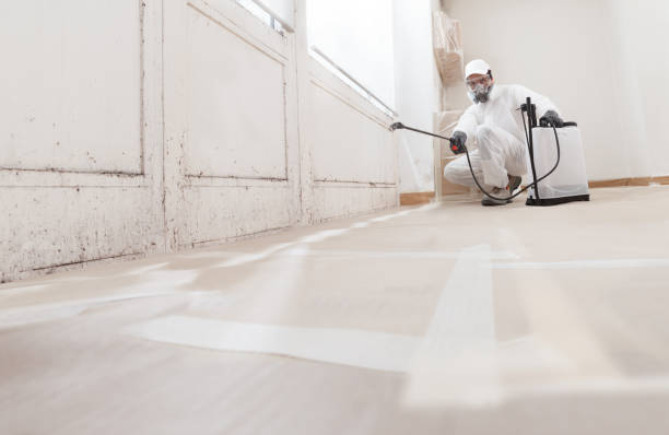 24/7 Emergency Mold Remediation experts in Roselle, IL